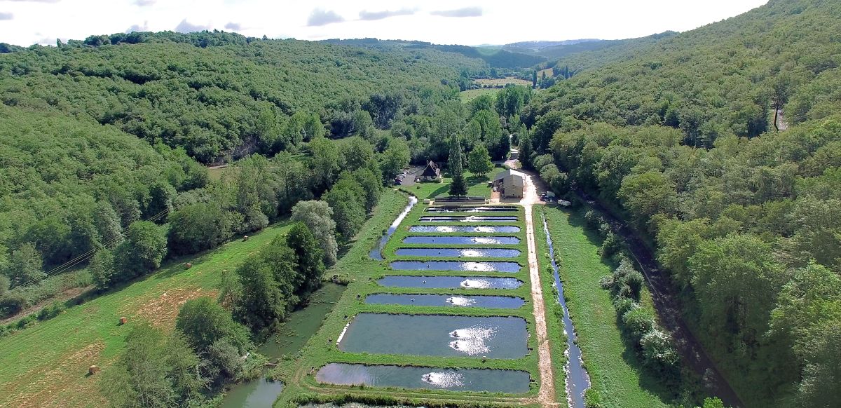 Prix du caviar - pisciculture environnement sain